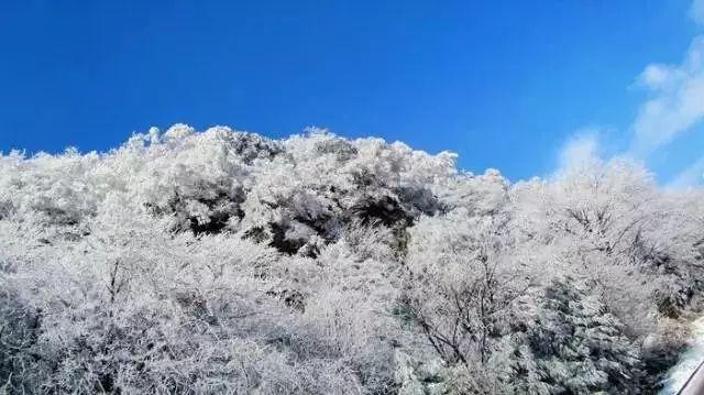 夏天泡腊八蒜如何变绿？游戏画面